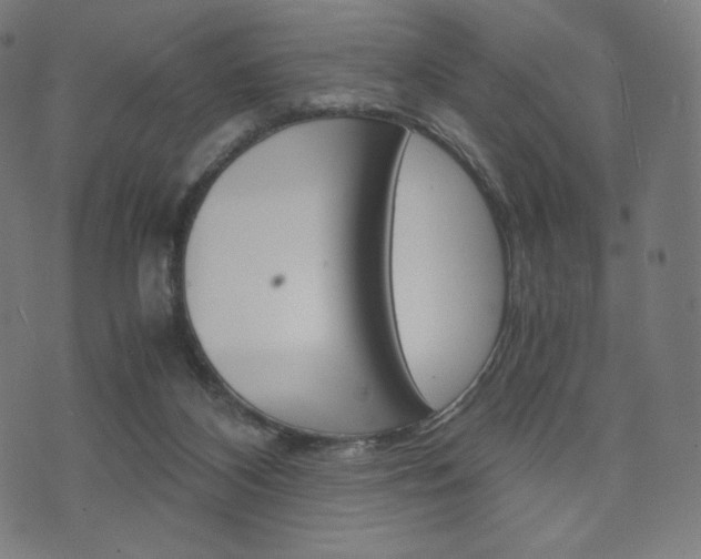 X0000071780116200606300927