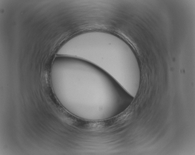 X0000071780117200606300927