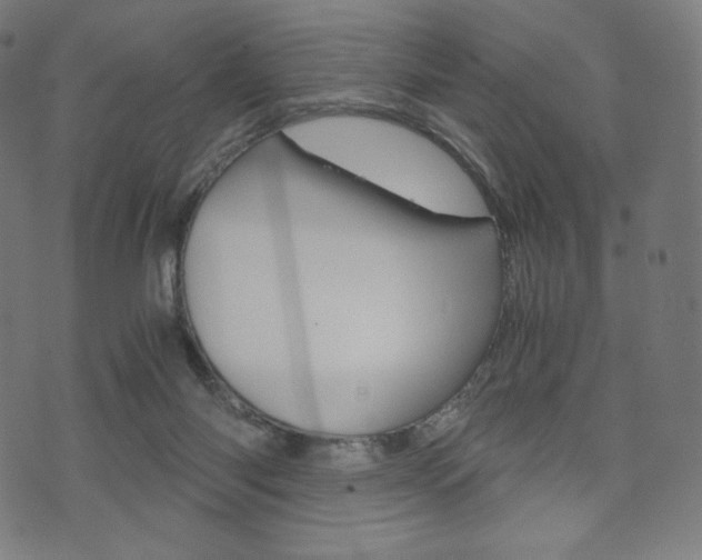 X0000071780118200606300927