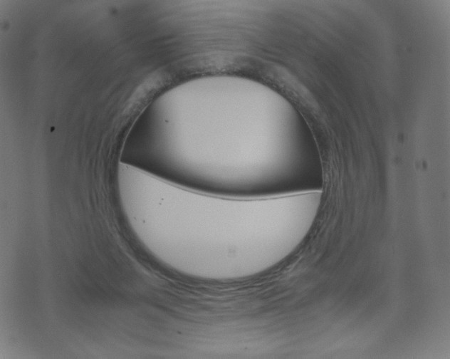 X0000071780119200606300927