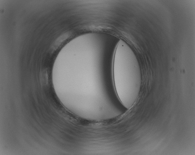 X0000071780120200606300926