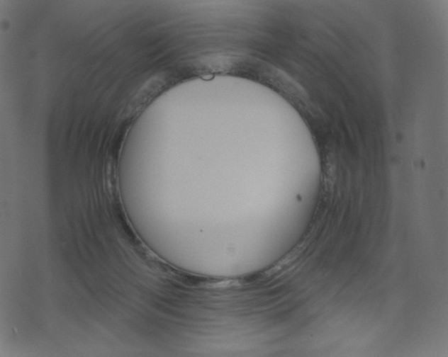 X0000071780122200606300926