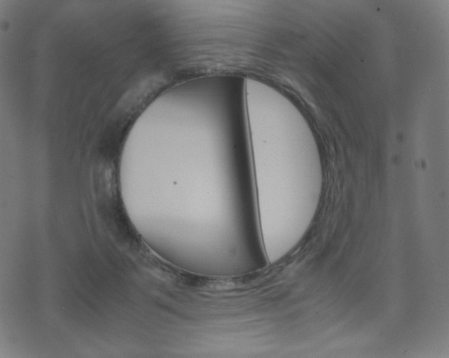 X0000071780123200606300926