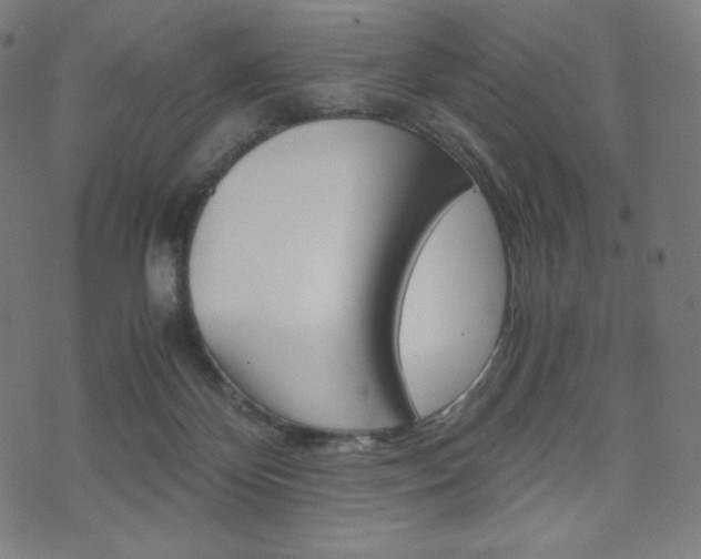 X0000071780124200606300926