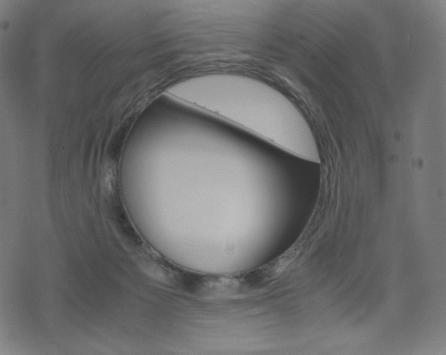 X0000071780125200606300926