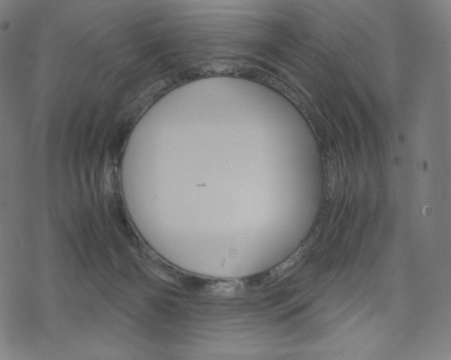 X0000071780126200606300926