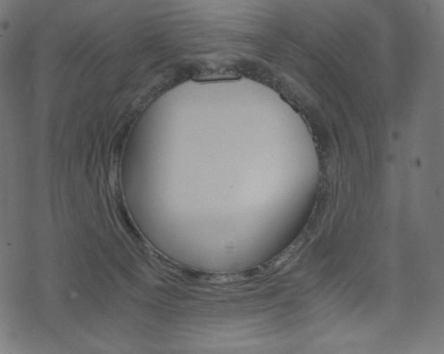 X0000071780129200606300926