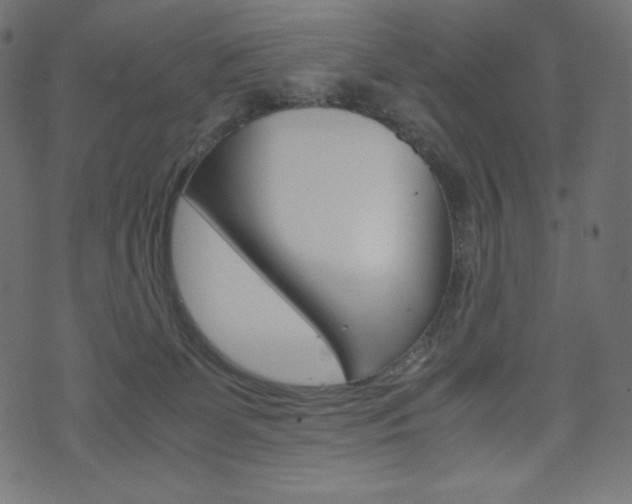 X0000071780131200606300926