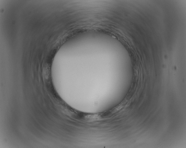 X0000071780133200606300926