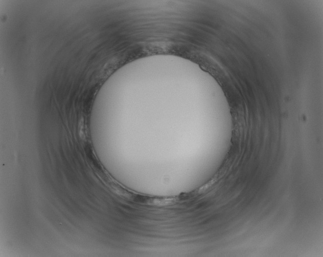 X0000071780134200606300926