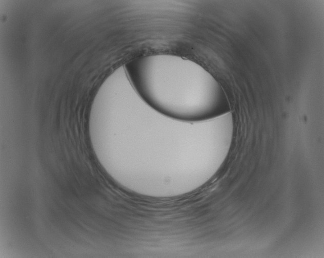 X0000071780135200606300926