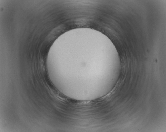 X0000071780136200606300926