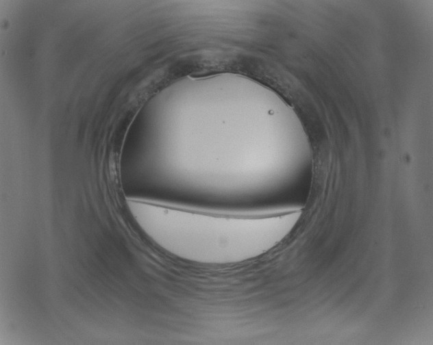 X0000071780137200606300926