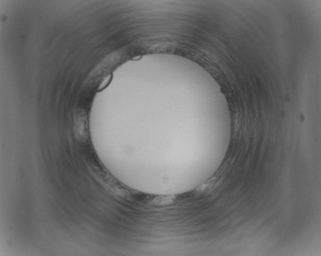 X0000071780138200606300926