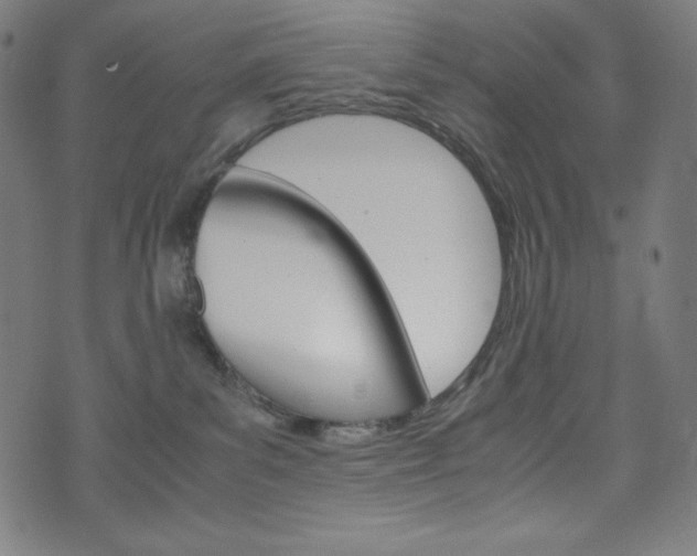 X0000071780139200606300926