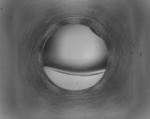 X0000071780141200606300926