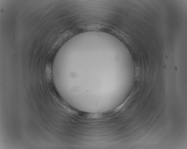 X0000071780142200606300926