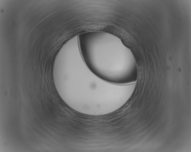 X0000071780143200606300926