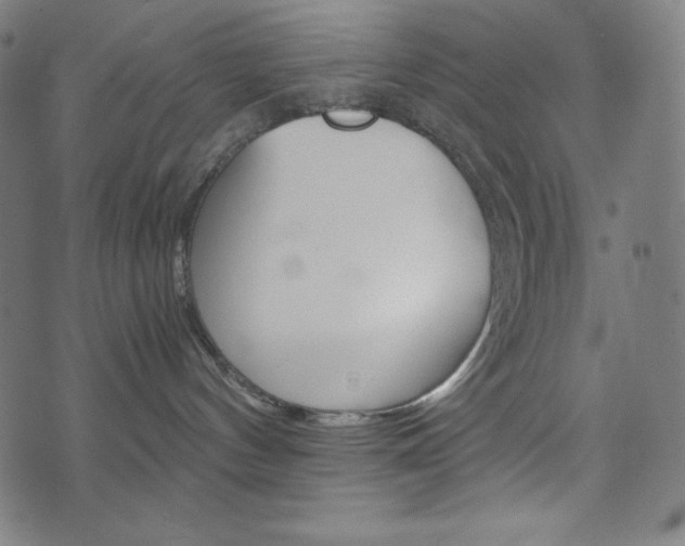 X0000071780144200606300926