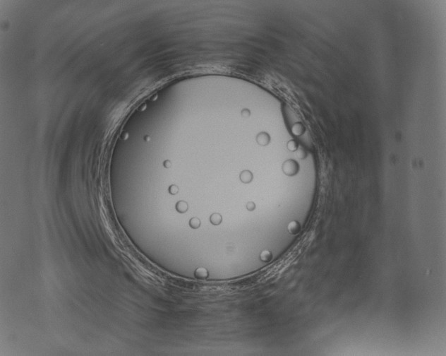 X0000071780145200606300925