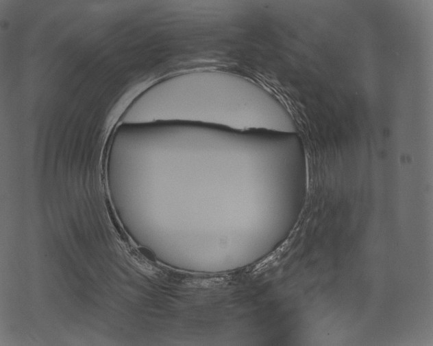 X0000071780147200606300925