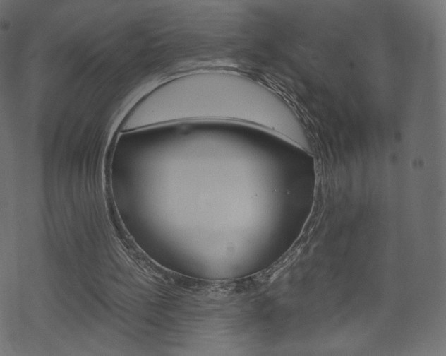 X0000071780148200606300925