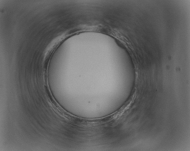 X0000071780149200606300925