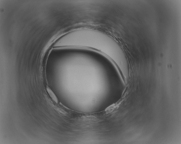 X0000071780150200606300925