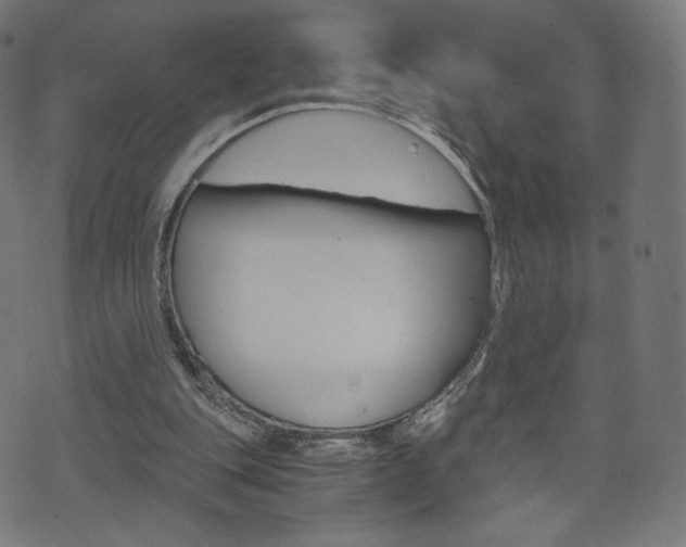 X0000071780151200606300925