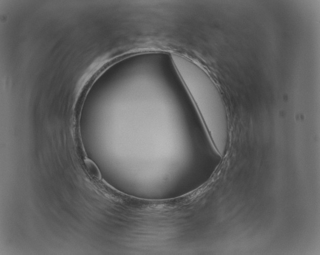 X0000071780152200606300925