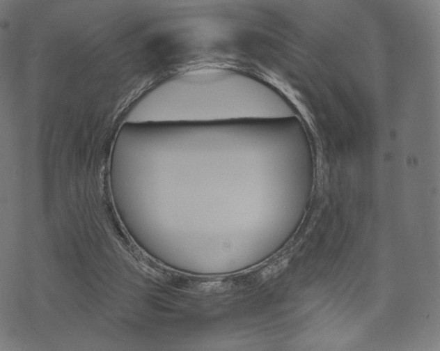 X0000071780153200606300925