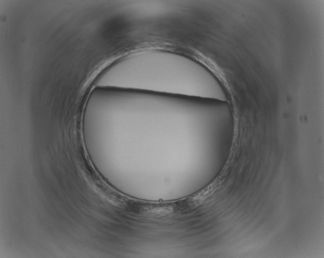 X0000071780155200606300925