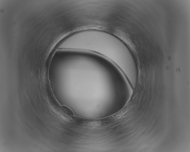 X0000071780156200606300925