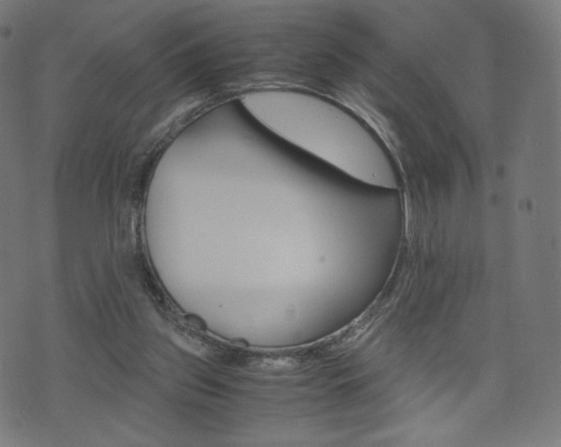 X0000071780157200606300926