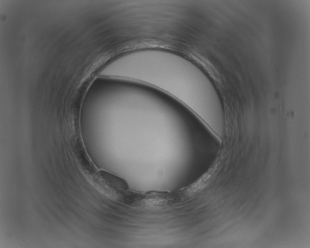 X0000071780158200606300926