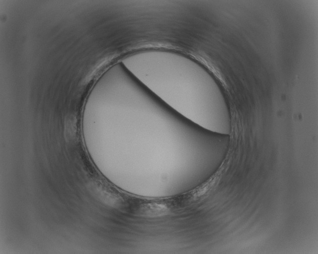 X0000071780159200606300926