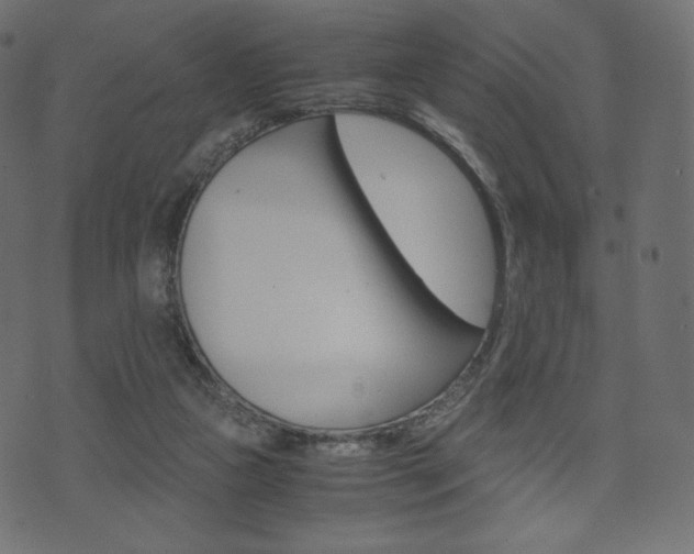 X0000071780161200606300926