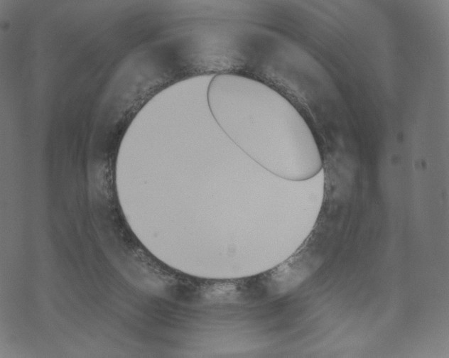 X0000071780162200606300926