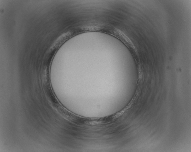 X0000071780163200606300926