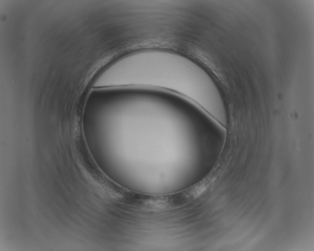 X0000071780164200606300926