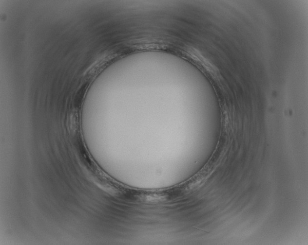 X0000071780165200606300926