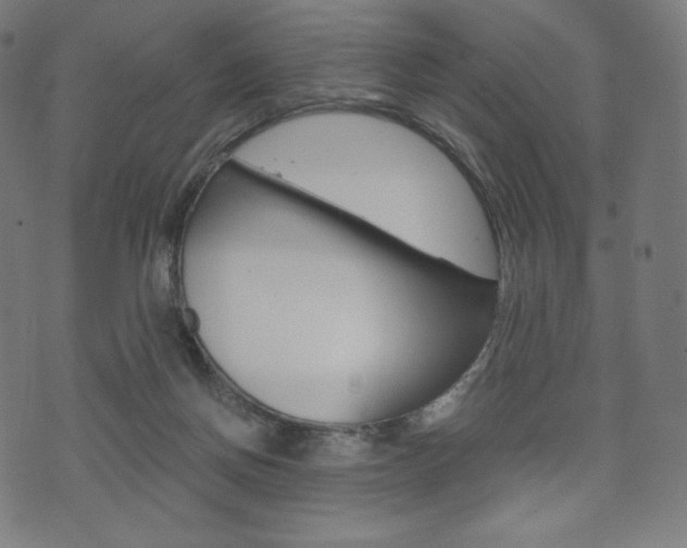 X0000071780166200606300926