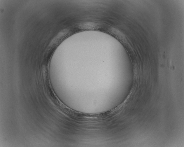 X0000071780167200606300926