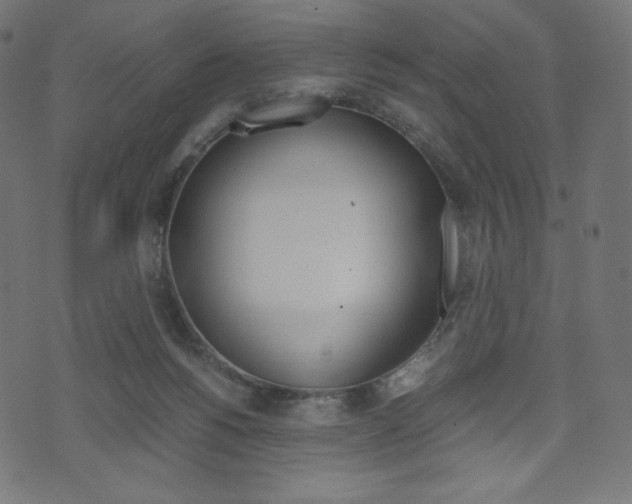 X0000071780168200606300926