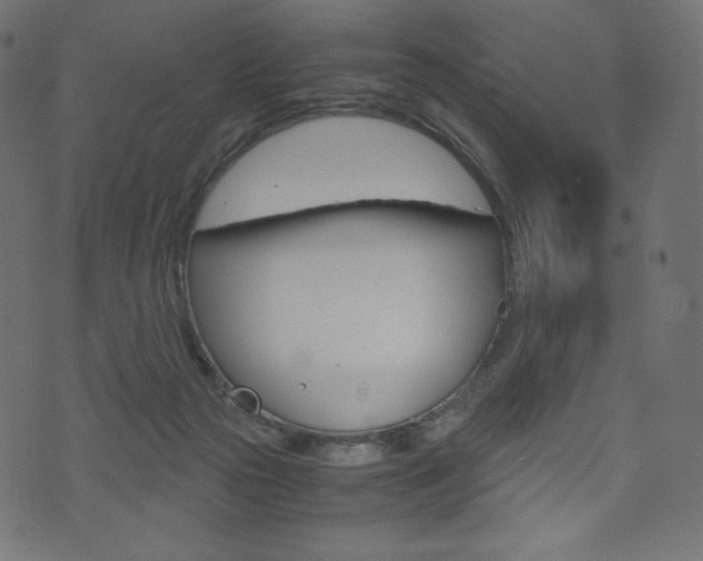 X0000071780169200606300926