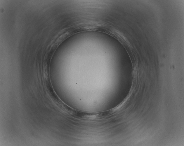 X0000071780170200606300926