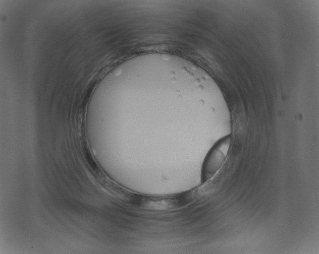 X0000071780171200606300926