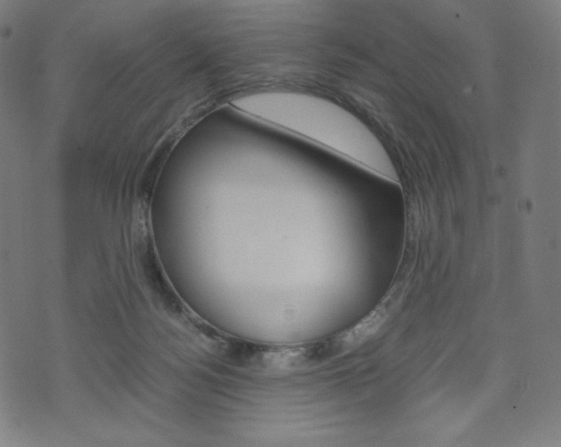 X0000071780172200606300926