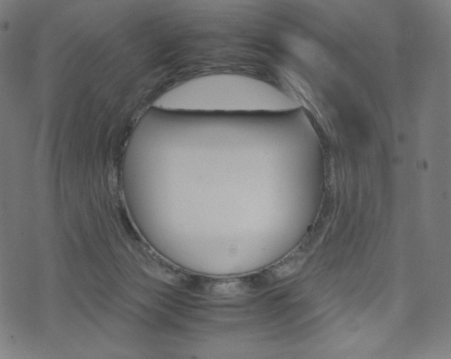 X0000071780173200606300926