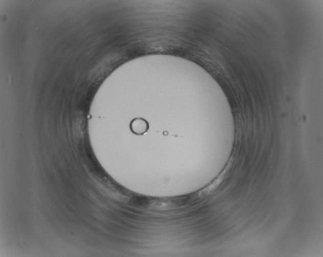 X0000071780174200606300926